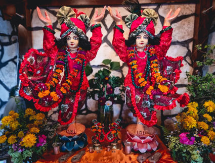 NOVA JALADUTA NOVOSTI