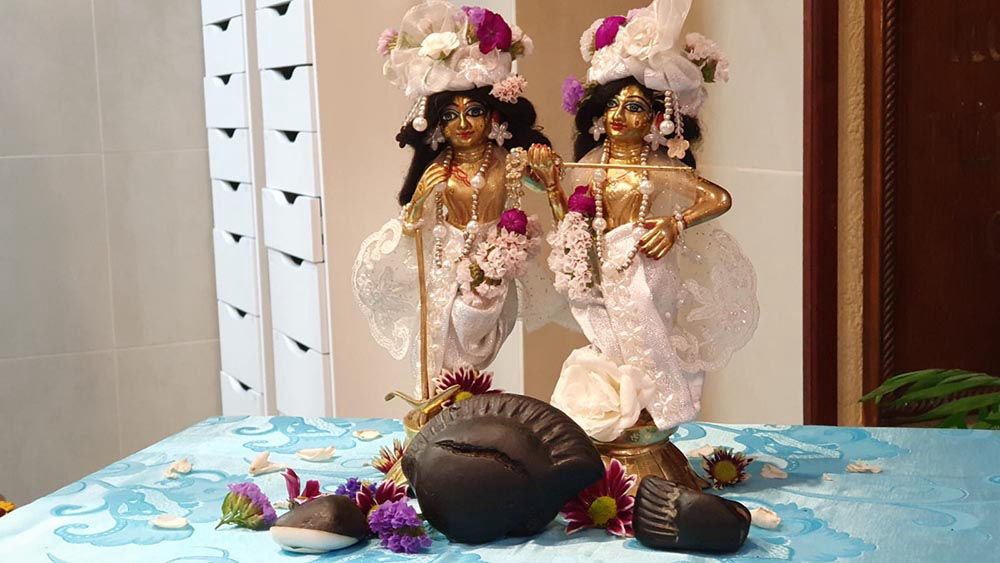 bilten nova jaladuta