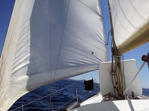 Brahmacharyi na ''krstarenju''